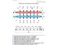 Распределительные коллекторы Прокситерм GK