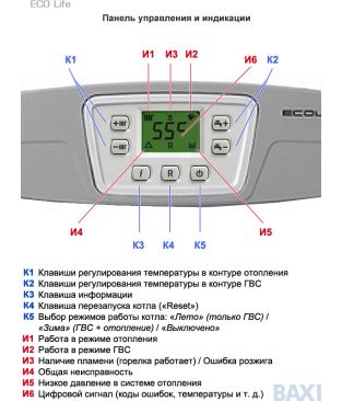 Газовый настенный котел Baxi ECO Life 1.31 F